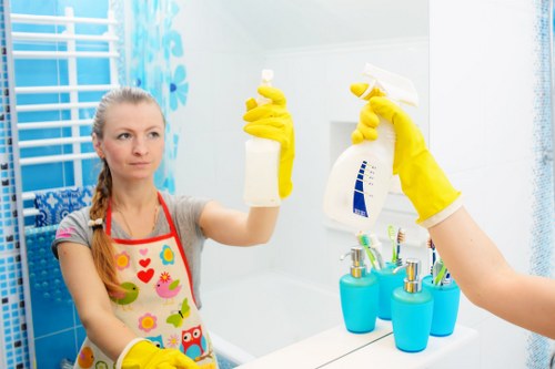 Cleaning carpet for pet stain odour removal