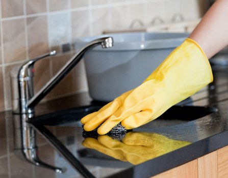 Professional carpet cleaning in a bright living room