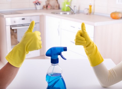 Professional carpet cleaning service in a commercial space