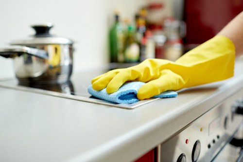 Steam carpet cleaning machine restoring carpet freshness and hygiene