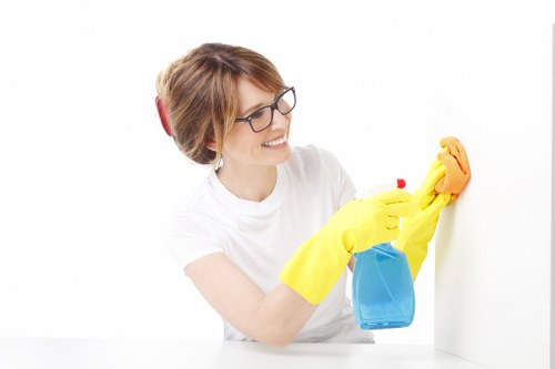 Enzymatic cleaner used for pet odour treatment