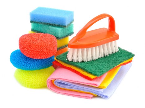 Deep cleaning carpet to remove pet stains and odours
