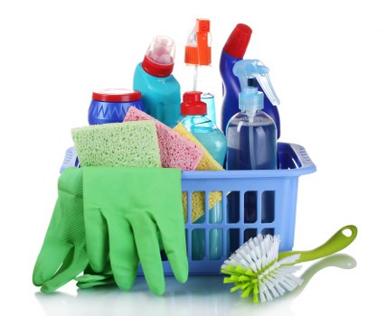 Blotting a fresh pet accident on upholstery